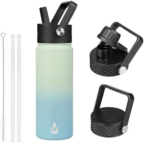 22oz Insulated Water Bottle with Straw Lid