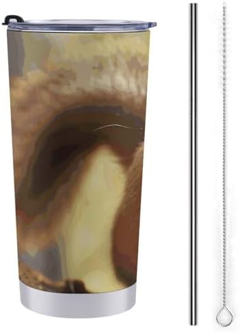 Funny squirrel 20 oz stainless steel tumbler
