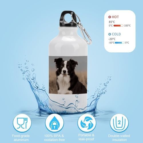 400ml Aluminum Sports Water Bottle Border Collie Printed Large — photo 4