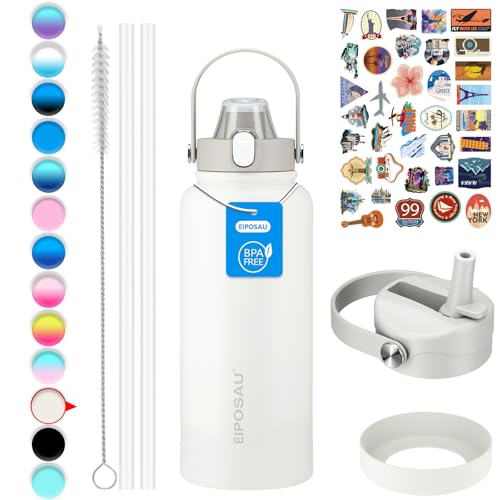 Insulated Water Bottle with Lid & Boot & Stickers