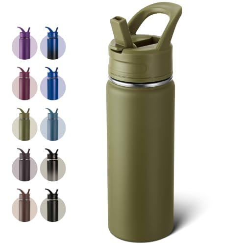 18oz Insulated Stainless Steel Water Bottle with Straws